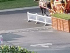 -幸福湖国际会议中心