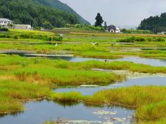 -腾冲北海湿地