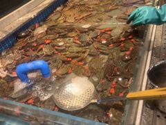 -一方渔歌蒸汽海鲜自助(文化路万达广场店)