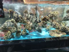 -紫阳海鲜楼·传承闽味(长乐路总店)