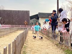 -乌村