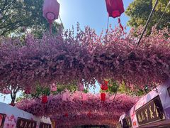 -南汇桃花村