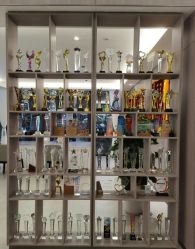 -宝生月子中心(独栋园林·福田店)
