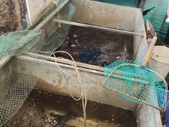 -铁锅炖灶台鱼老三炖鱼馆