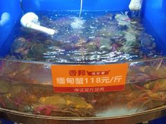 -香邦迷宗蟹(新汽车站店)