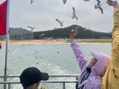 -海驴岛(荣成市)