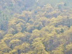 -敬亭山风景名胜区