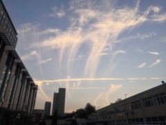 -天津医科大学第二医院