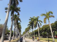 -厦门大学(思明校区)