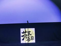 -万达影城(涪城万达广场激光IMAX店)