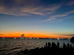 -宝安西湾红树林湿地公园