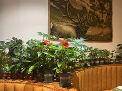 -草原塞蛮羊火锅城(港湾店)