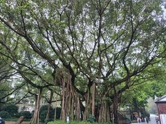 -广州市白云山风景名胜区