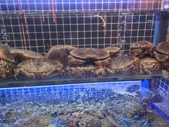 -上和臻品中国菜(花园街店)