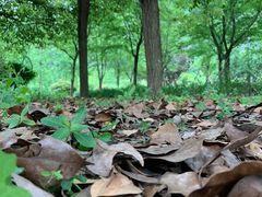 -贵阳市花溪国家城市湿地公园