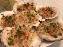 -小贝壳酒楼(经九路店)