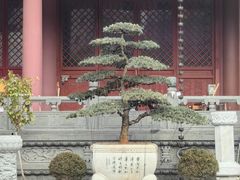 -太平禅寺