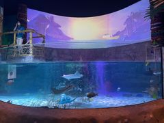 -沈阳海洋探索中心