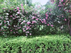 -仁和公园(顺义区)