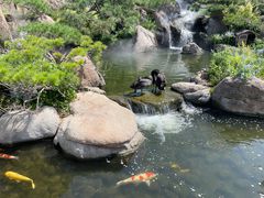 -罗红摄影艺术馆