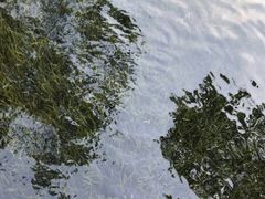 -晓港公园