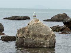 -龙爪山国家地质公园