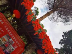 -珠海圆明新园