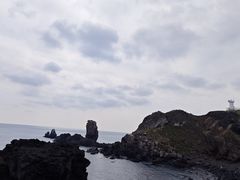 -涉地可支