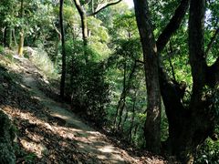 -阳台山森林公园