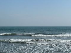 -广东惠东海龟国家级自然保护区