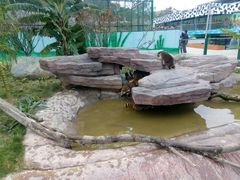 -泉州海丝野生动物世界