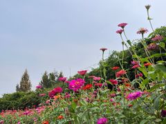 -苏州上方山国家森林公园