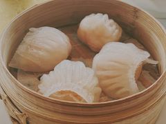 -咖啡苑 - 蔚藍夏日限定主题(永利皇宫店)