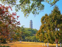 -江心屿景区
