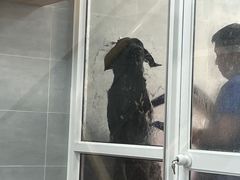 -宠福鑫康馨动物医院·骨科·眼科