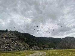 -纳帕海依拉草原