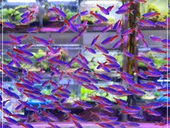 -三旗百汇商品城