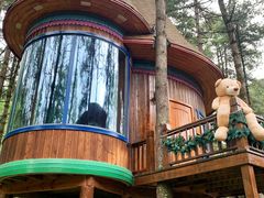 -洛阳白云山景区