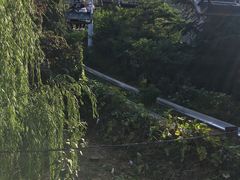 -富斯特索道