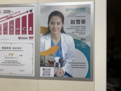 -美联众合爱康动物医院•复杂内科•肿瘤科•牙科•腔镜诊疗中心