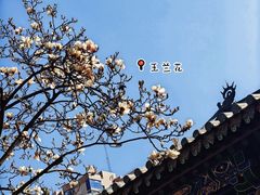 -真庆观