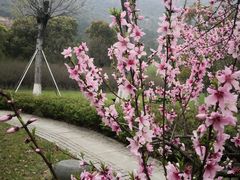 -白马涧龙池景区