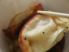 -洋洋锅贴