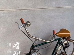 -猫里有甜