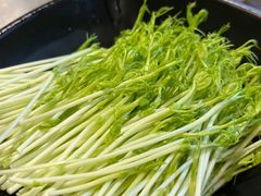 -水哥卜卜贝(东晓·胜汇里店)