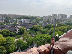 -上海东林寺(金山区)