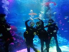 -沈阳海洋探索中心