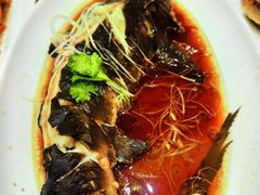 清蒸鲟鱼-新洪记·丽久饭店(铁西店)