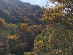 -牛背梁国家森林公园