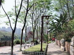 -重庆彩云湖湿地公园